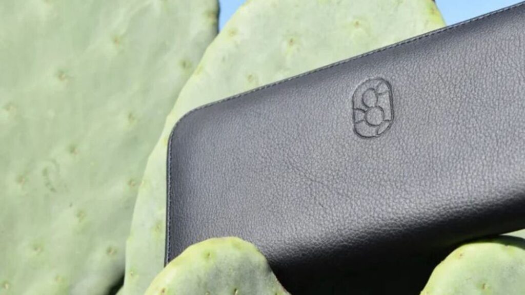 Innovación en diseño y sostenibilidad: 'Piel' hecha con cactus